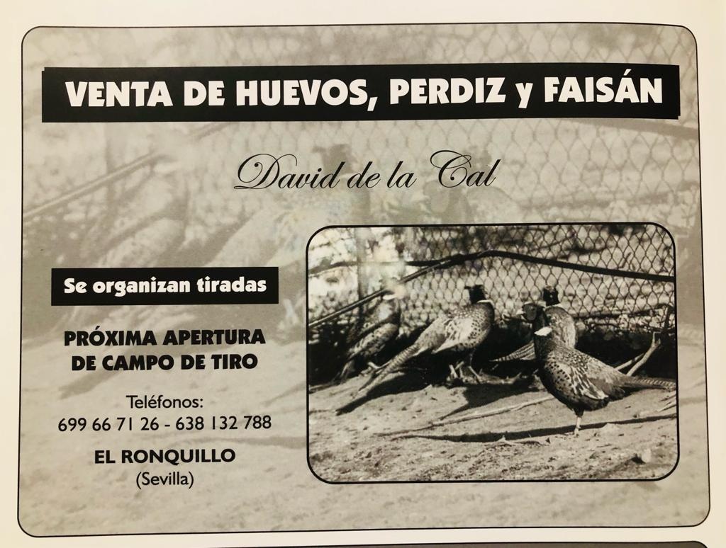 WhatsApp Image 2022-11-04 at 12.55.24 PM