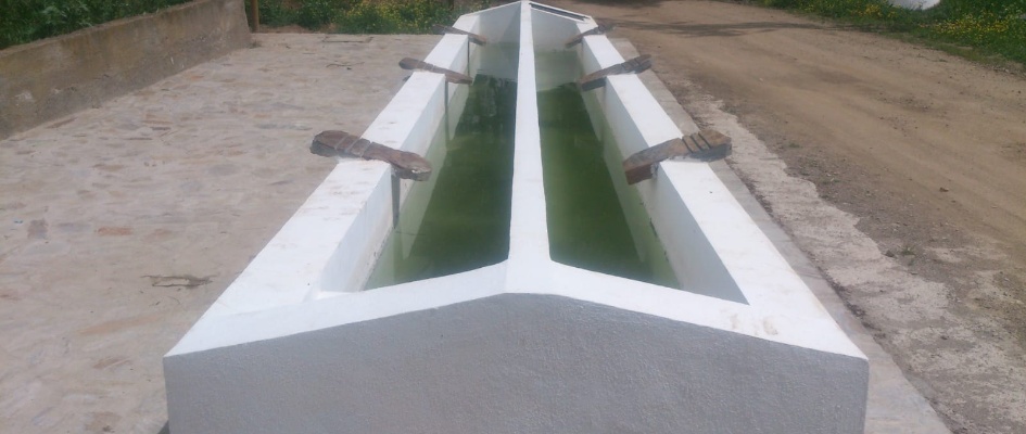 WhatsApp Image 2020-06-15 at 11.45.561