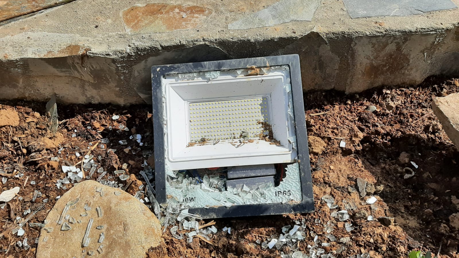 WhatsApp Image 2021-03-25 at 12.53.02