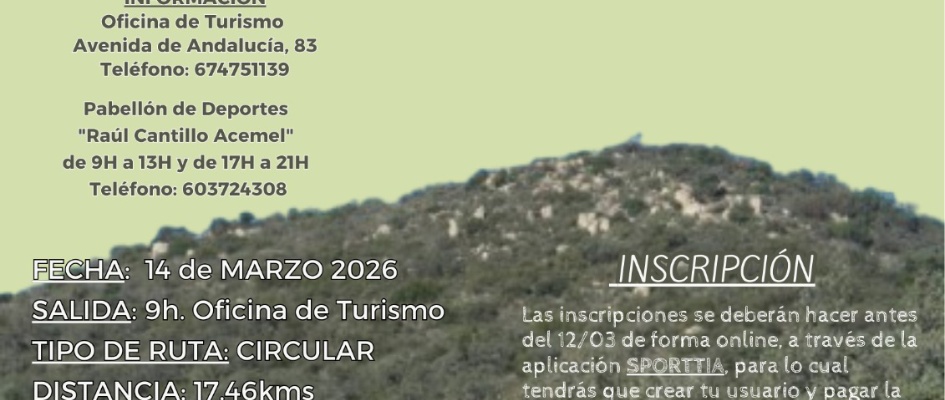 Cartel RonquilleAndo