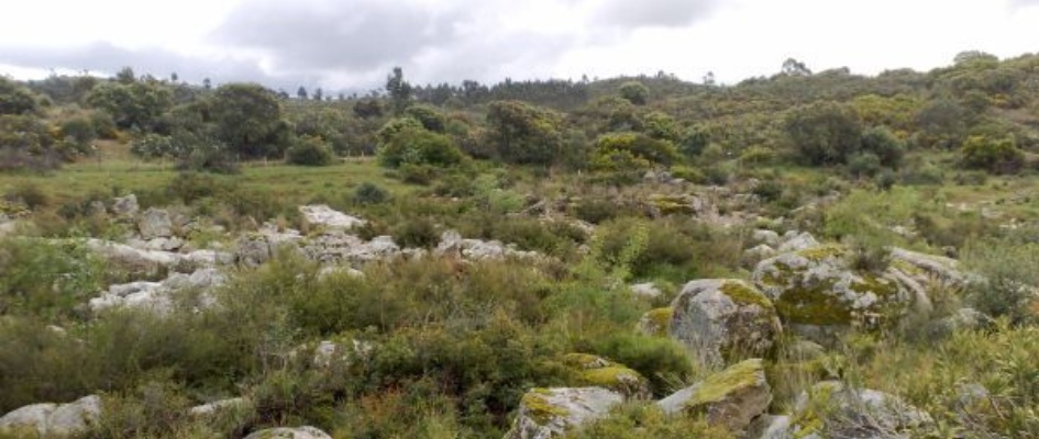 180420091109.jpg