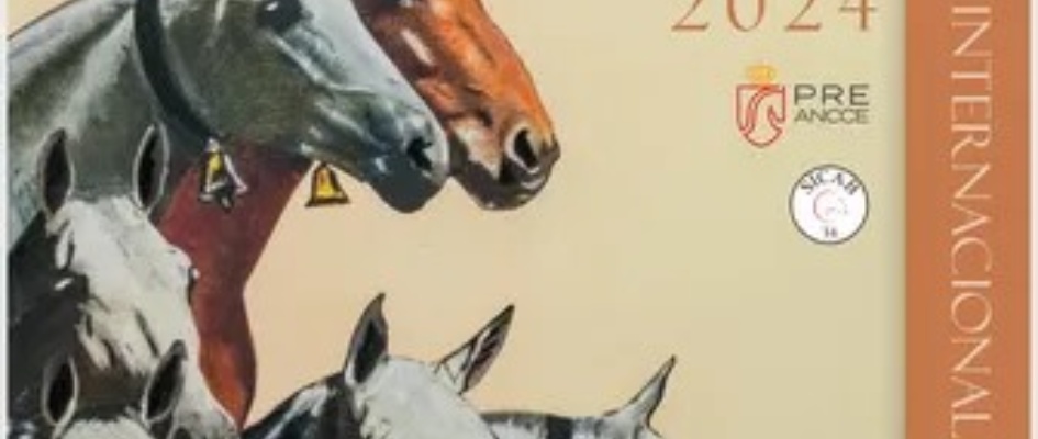 466087752_969531118535524_923667643719960274_n