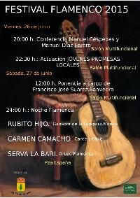 CARTEL FESTIVAL 15 DIPUT.