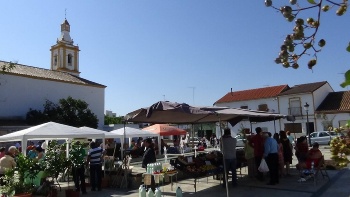 JORNADAS GASTRONOMICAS