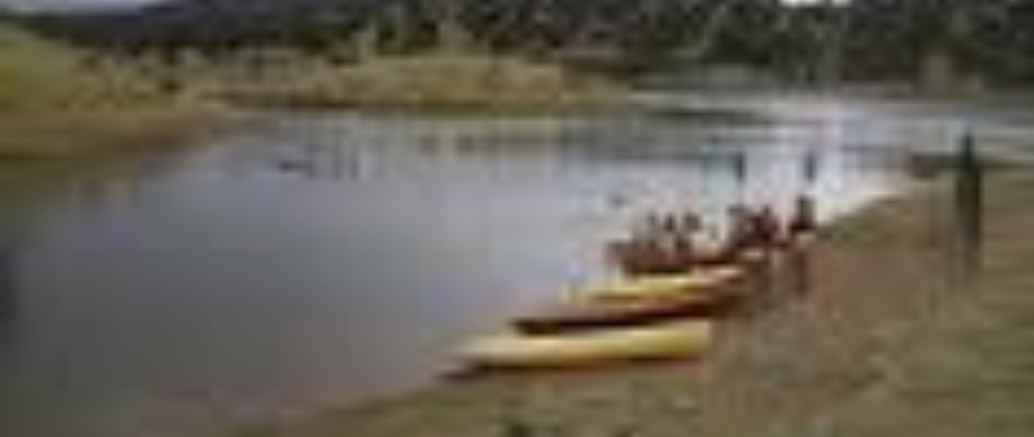 borrocal.jpg