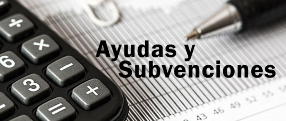 imagen_ayudas_subvenciones