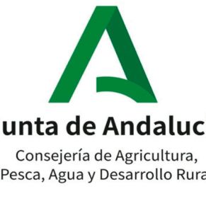 logo junta andalucia